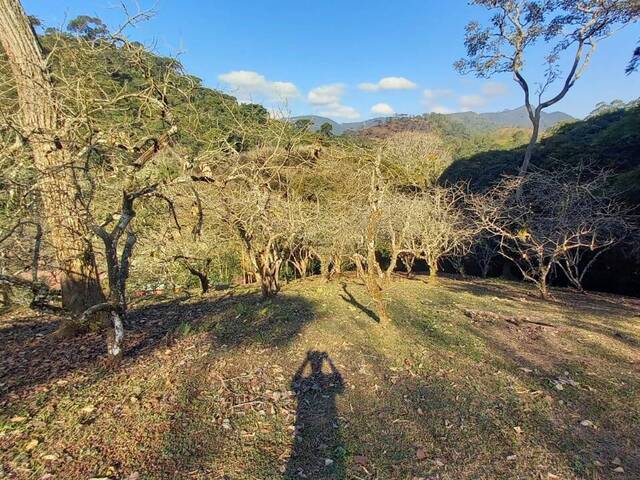 #240 - Sítio para Venda em Nova Friburgo - RJ