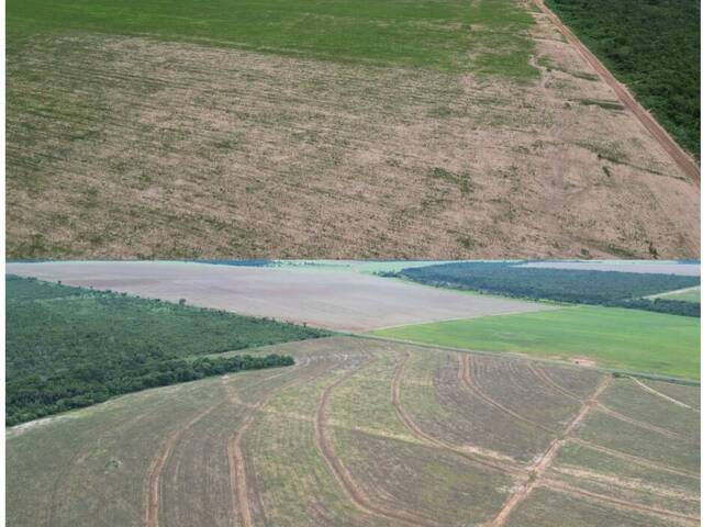 #245 - Fazenda para Venda em Ribeirão Cascalheira - MT