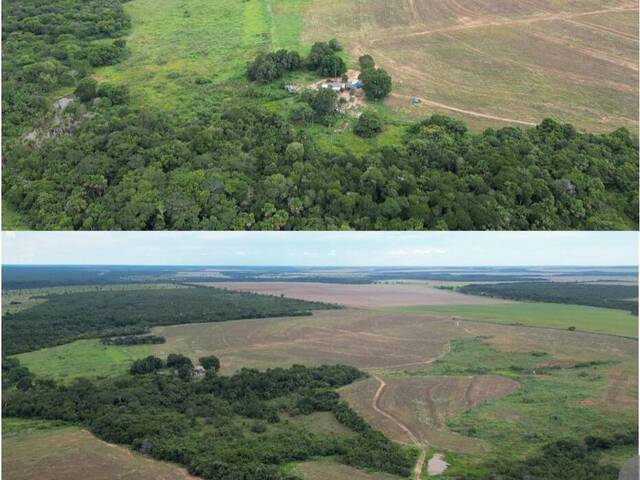 #245 - Fazenda para Venda em Ribeirão Cascalheira - MT