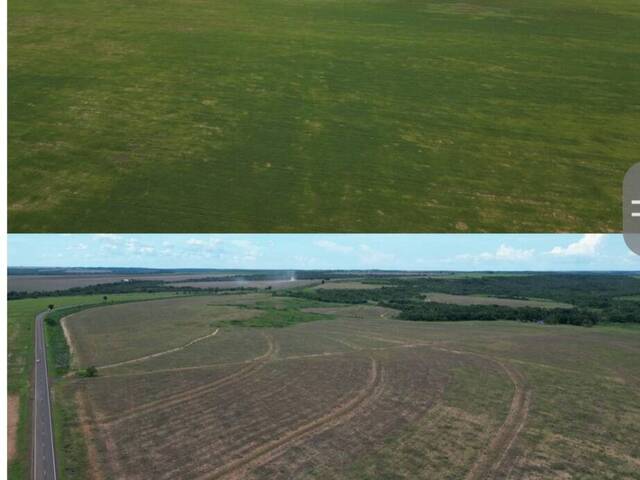 #245 - Fazenda para Venda em Ribeirão Cascalheira - MT